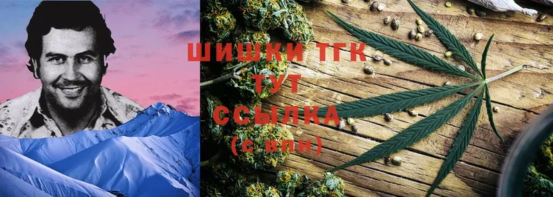 Шишки марихуана LSD WEED  Пудож 